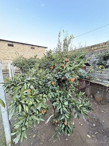 Продаётся 5-комн. дом/дача 250 м², photo 10 from 32