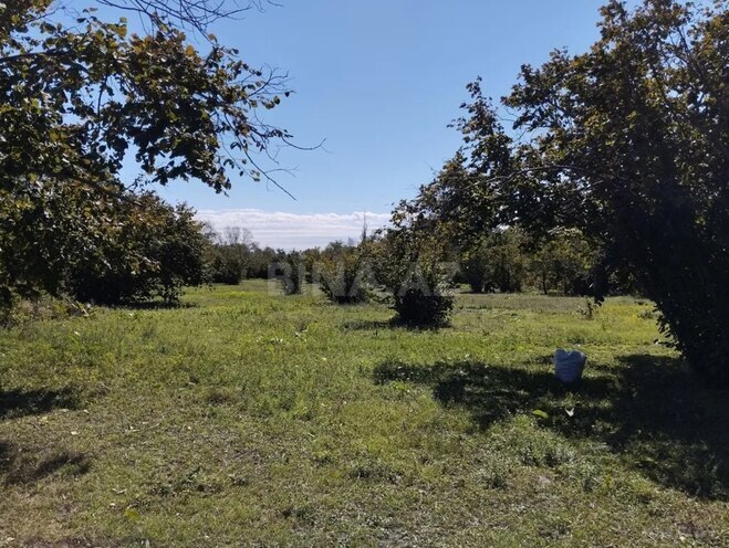 Satılır  torpaq 70 sot, photo 3 from 7