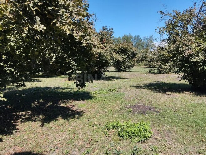 Satılır  torpaq 70 sot, photo 4 from 7