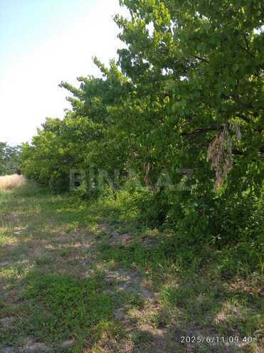 Продаётся  участок 120 сот, пос. Бузовна, photo 3 from 4