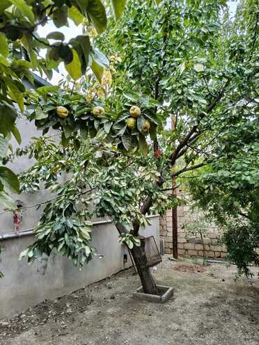 Продаётся 3-комн. дом/дача 120 м², пос. Мушфигабад, photo 6 from 32