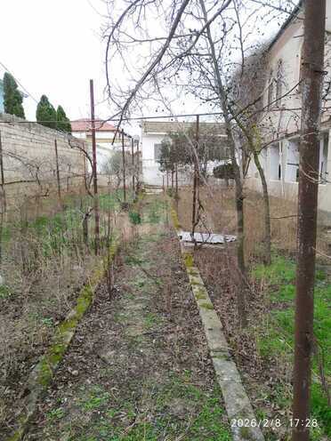 Продаётся  участок 25 сот, пос. Мардакан, photo 10 from 15