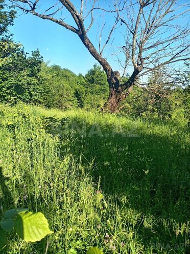 Продаётся  участок 22 сот, photo 4 from 5