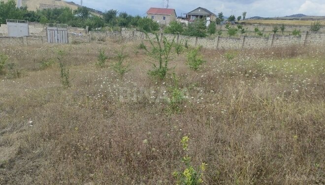 Satılır  torpaq 12 sot, photo 6 from 18