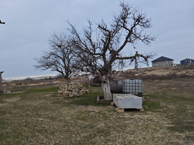 İcarəyə verilir 2 otaqlı həyət evi/bağ evi 75 m², Kürdəxanı q., photo 17 from 24