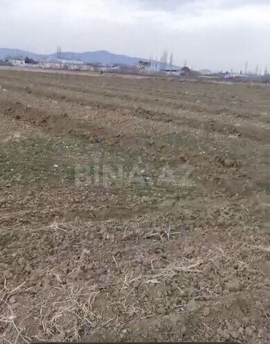 Продаётся  участок 27 сот, photo 3 from 5