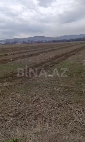 Продаётся  участок 27 сот, photo 4 from 5