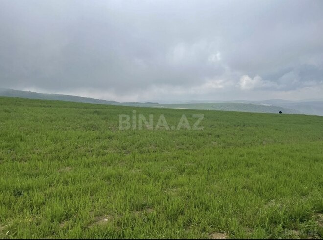 Satılır  torpaq 4 sot, photo 3 from 4