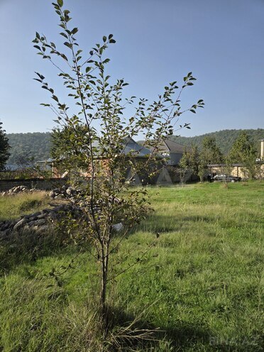 Satılır  torpaq 6 sot, photo 7 from 12