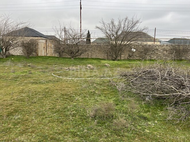 Продаётся  участок 46 сот, пос. Бина, photo 5 from 18