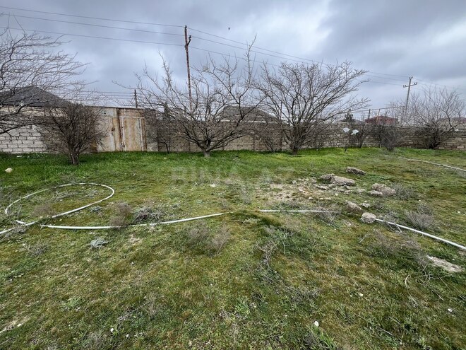 Продаётся  участок 46 сот, пос. Бина, photo 4 from 18