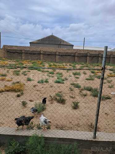 Satılır 4 otaqlı həyət evi/bağ evi 100 m², Zirə q., photo 12 from 13