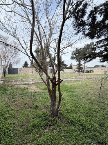 Satılır  torpaq 10 sot, Mərdəkan q., photo 8 from 12