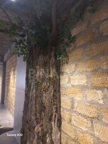 İcarəyə verilir 3 otaqlı ofis 120 m², Şah İsmayıl Xətai m., photo 21 from 30