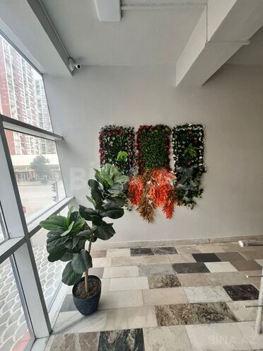 İcarəyə verilir  obyekt 1 000 m², Nəriman Nərimanov m., photo 15 from 32