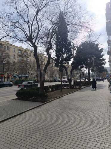 Сдаётся  объект 40 м², м. Элмляр Академиясы, photo 3 from 18