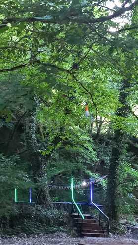 Satılır  obyekt 3 000 m², photo 11 from 16