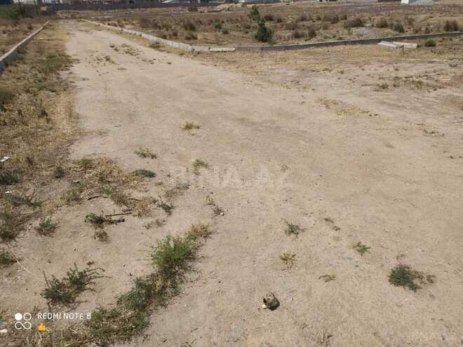 Продаётся  участок 60 сот, пос. Бадамдар, photo 5 from 7