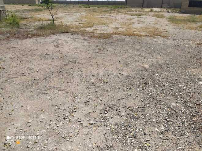 Продаётся  участок 60 сот, пос. Бадамдар, photo 6 from 7