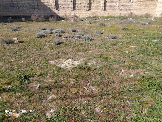 Продаётся  участок 60 сот, пос. Бадамдар, photo 4 from 7