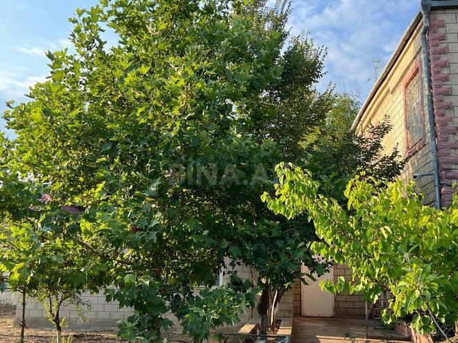 Satılır 7 otaqlı həyət evi/bağ evi 260 m², Görədil q., photo 6 from 28