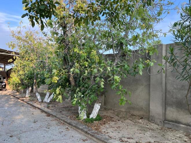 Satılır 7 otaqlı həyət evi/bağ evi 260 m², Görədil q., photo 7 from 28