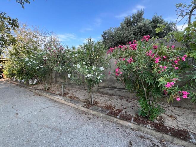 Satılır 7 otaqlı həyət evi/bağ evi 260 m², Görədil q., photo 11 from 28