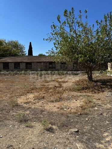 Продаётся  участок 100 сот, пос. Шувеляны, photo 4 from 6