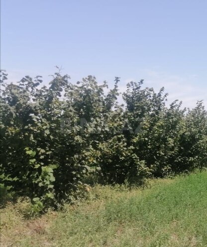 Продаётся  участок 100 сот, photo 3 from 6