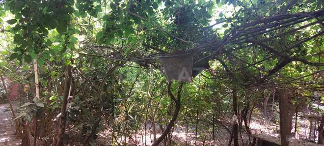 Продаётся 6-комн. дом/дача 80 м², пос. Бакиханова, photo 14 from 15