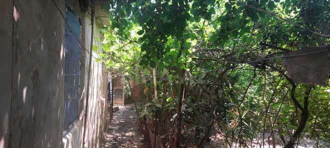 Продаётся 6-комн. дом/дача 80 м², пос. Бакиханова, photo 12 from 15