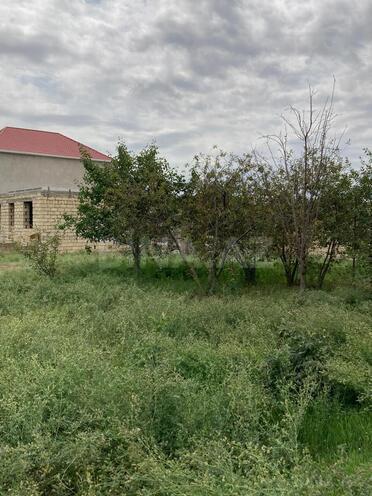 Продаётся  участок 6 сот, пос. Ашагы Гюздек, photo 4 from 10