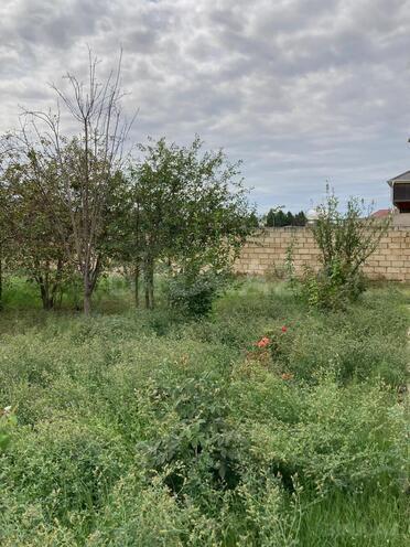 Продаётся  участок 6 сот, пос. Ашагы Гюздек, photo 6 from 10