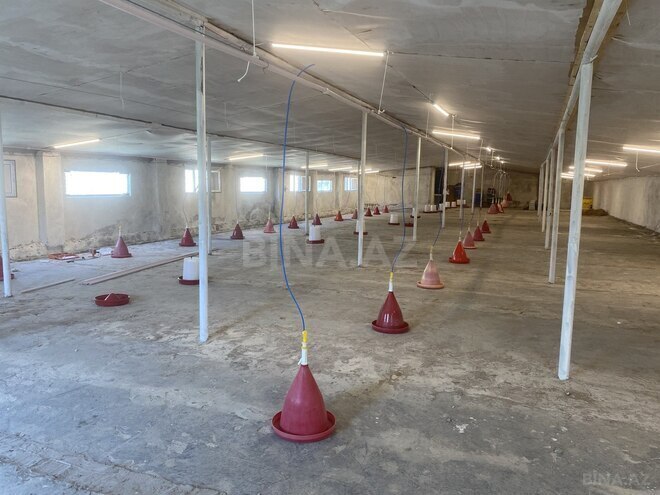 Продаётся 4-комн. дом/дача 1 500 м², photo 18 from 21