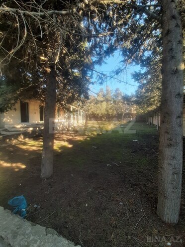 Satılır  torpaq 21 sot, Qala q., photo 3 from 6