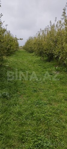 Satılır  torpaq 115 sot, photo 3 from 10