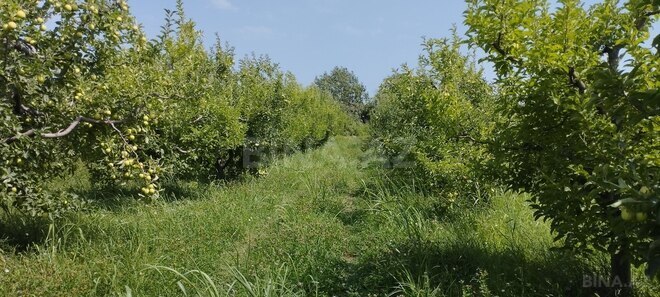 Satılır  torpaq 115 sot, photo 7 from 10