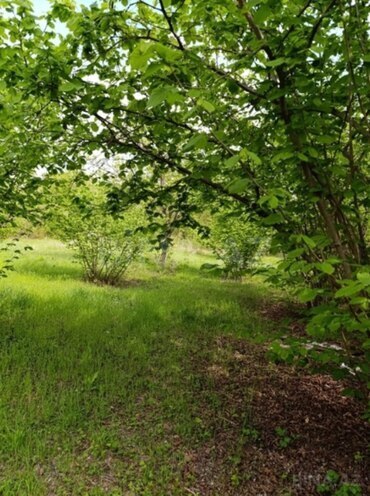 Продаётся 4-комн. дом/дача 120 м², photo 12 from 15