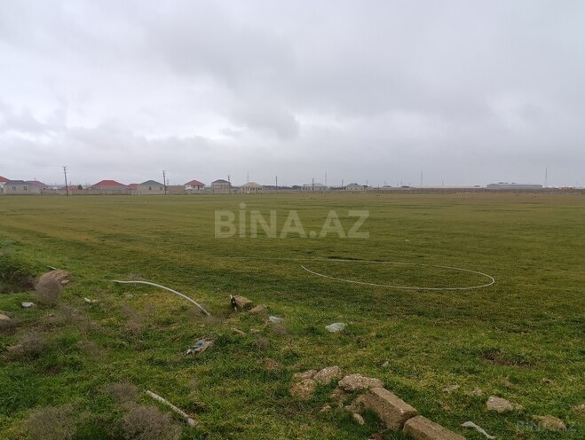Продаётся  участок 300 сот, пос. Бина, photo 1 from 6