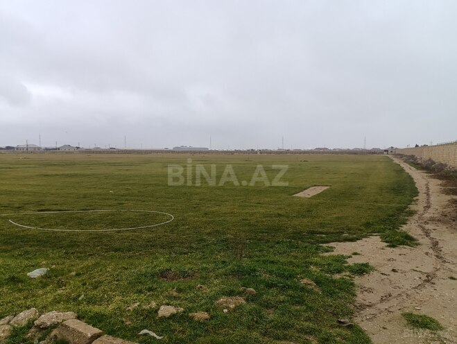 Продаётся  участок 300 сот, пос. Бина, photo 3 from 6