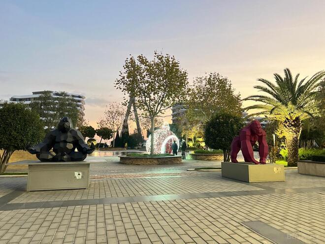 Satılır 4 otaqlı yeni tikili 160 m², Ağ şəhər q., photo 4 from 12