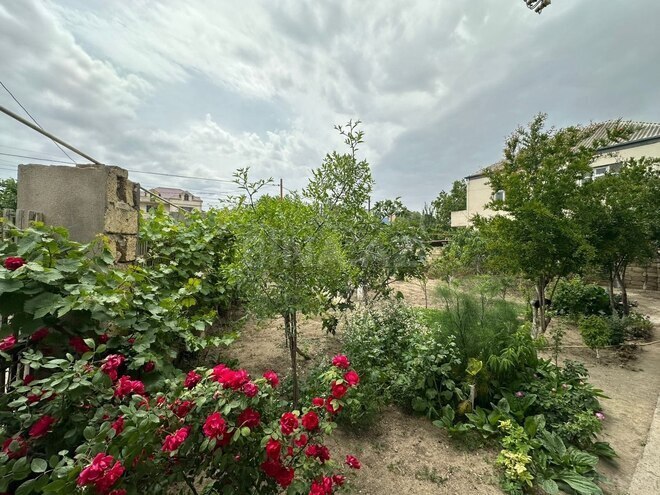 Satılır  torpaq 8 sot, photo 3 from 13