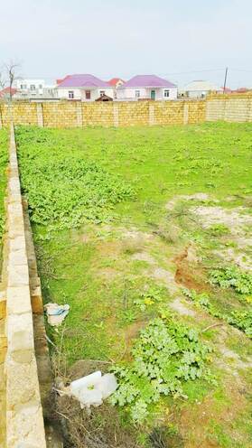 Satılır  torpaq 100 sot, Fatmayı q., photo 3 from 7