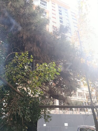 Продаётся 3-комн. вторичка 60 м², пос. Ясамал, photo 13 from 26