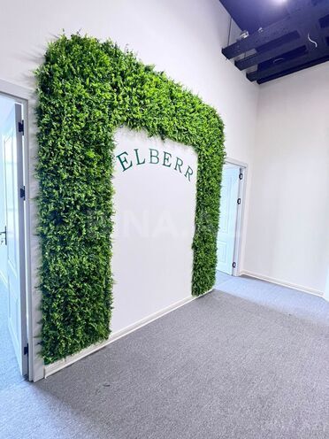 Сдаётся 4-комн. офис 160 м², м. Низами, photo 8 from 13