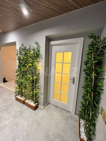 İcarəyə verilir  obyekt 50 m², Nərimanov r., photo 6 from 14