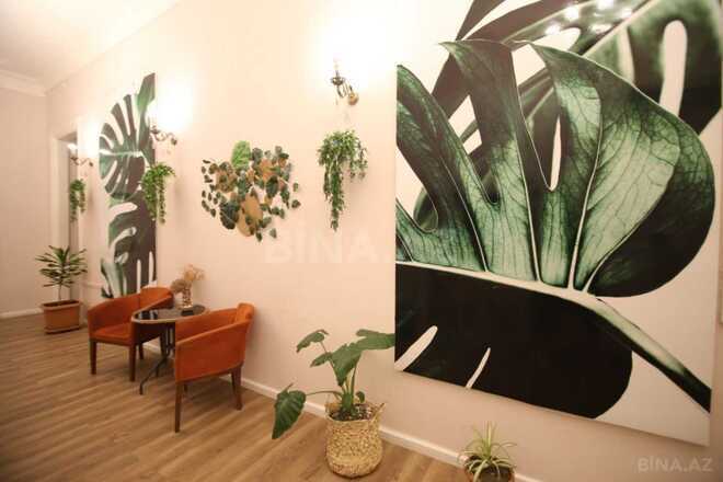 Сдаётся  объект 450 м², м. Сахил, photo 14 from 30