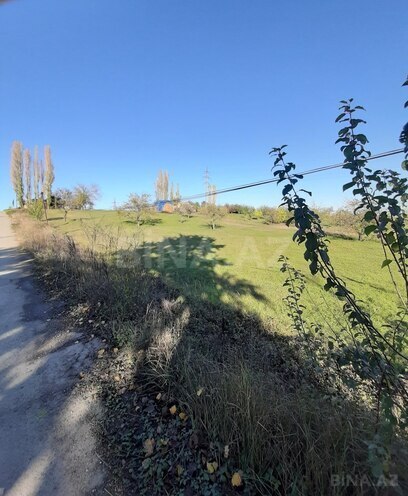 Satılır  torpaq 50 sot, photo 4 from 12