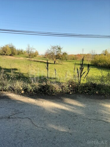 Satılır  torpaq 50 sot, photo 3 from 12