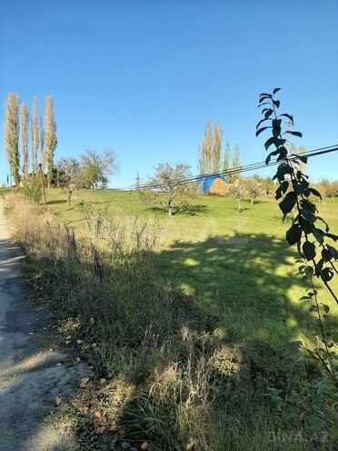 Satılır  torpaq 50 sot, photo 5 from 12